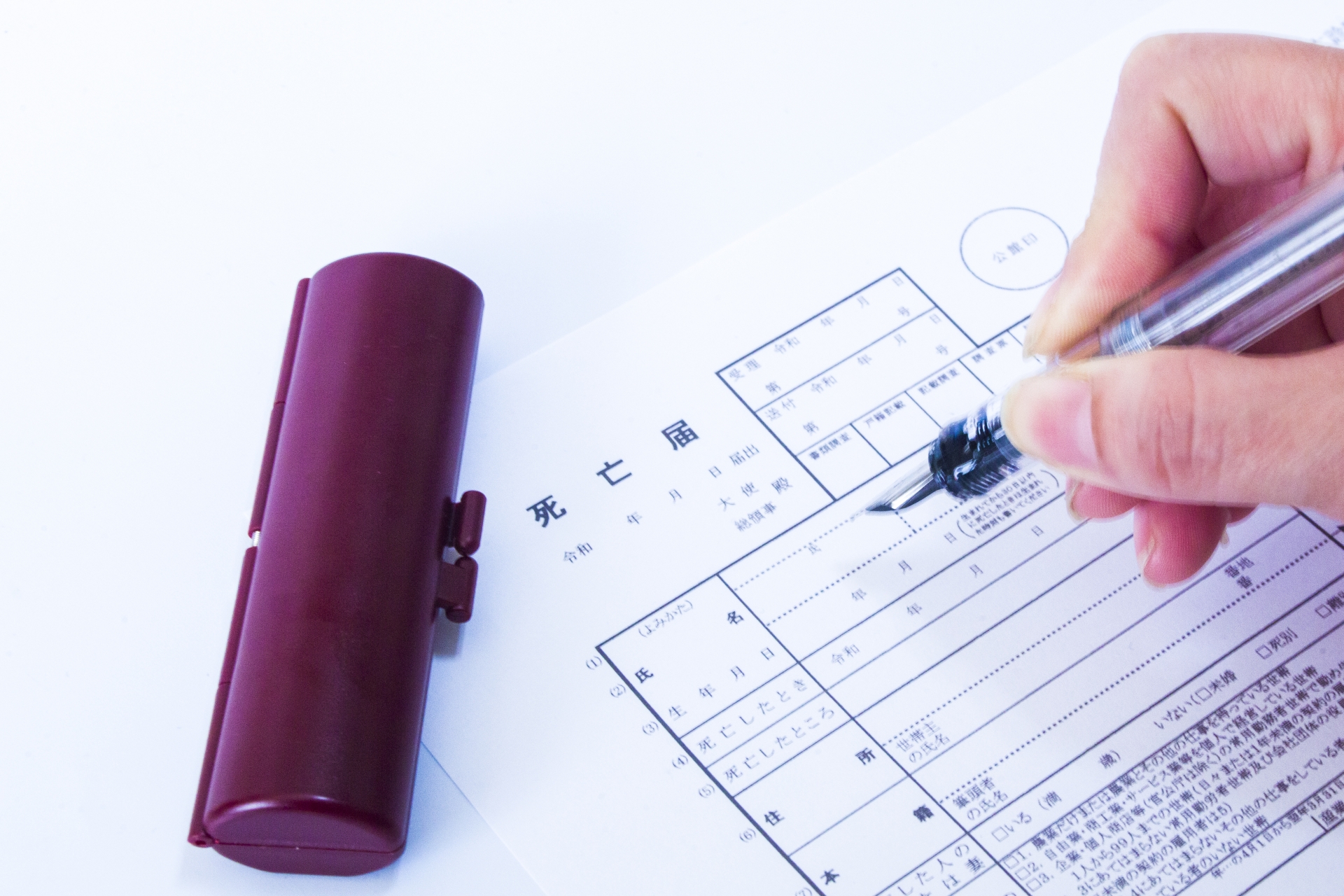 bureaucratic-procedures